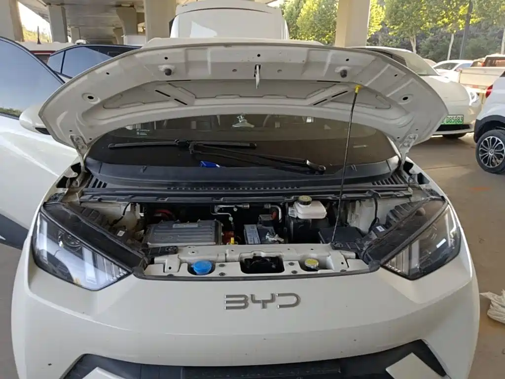 BYD Seagull 2023 2023 Vitality Edition