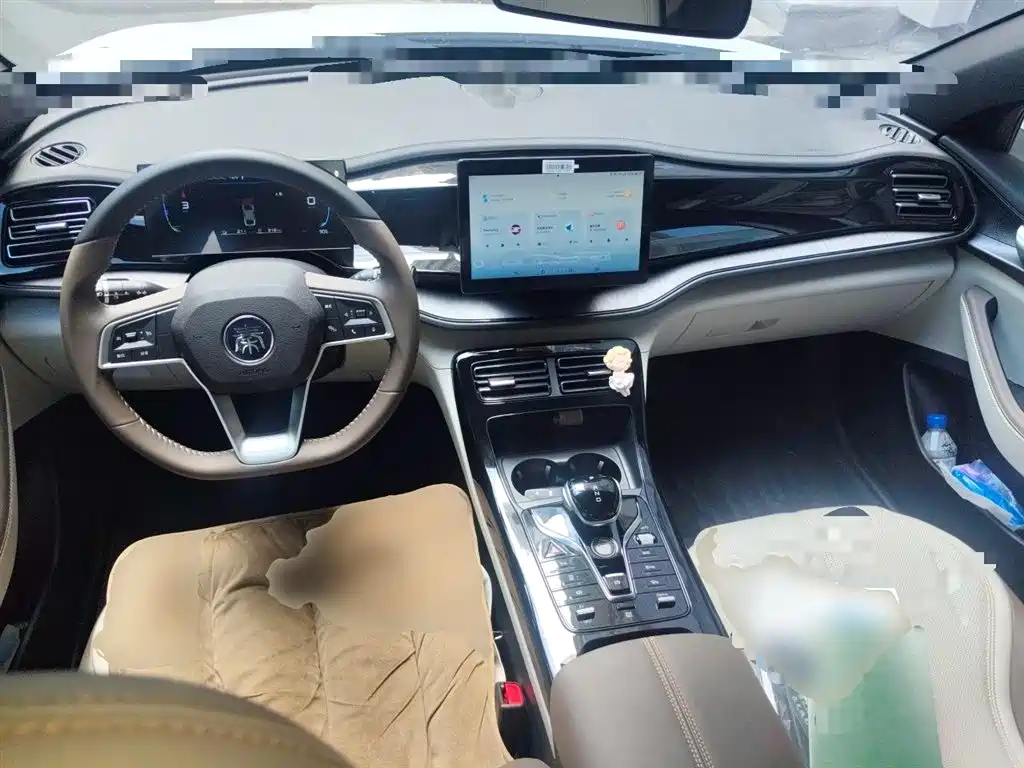 BYD Qin PLUS 2024 Glory Edition DM-i 55KM Leading фото 6