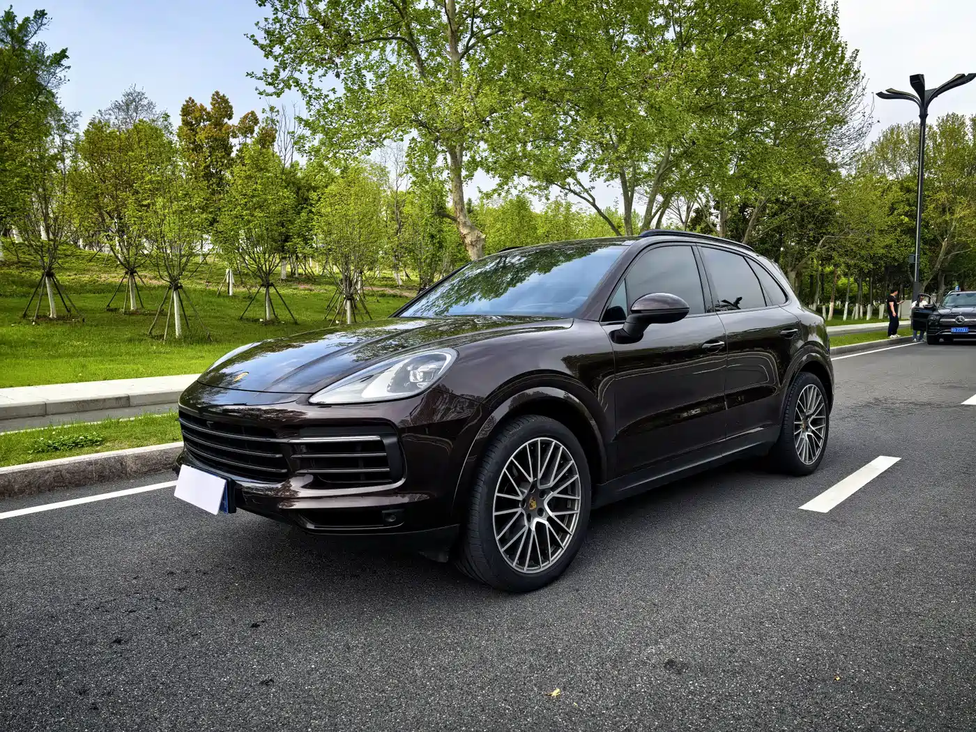 Porsche Cayenne 2023 Cayenne 3.0T Platinum Edition
