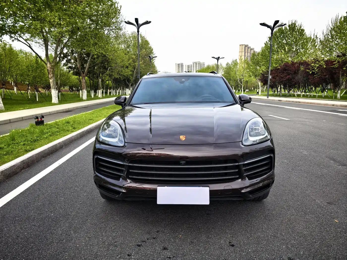 Porsche Cayenne 2023 Cayenne 3.0T Platinum Edition фото 2