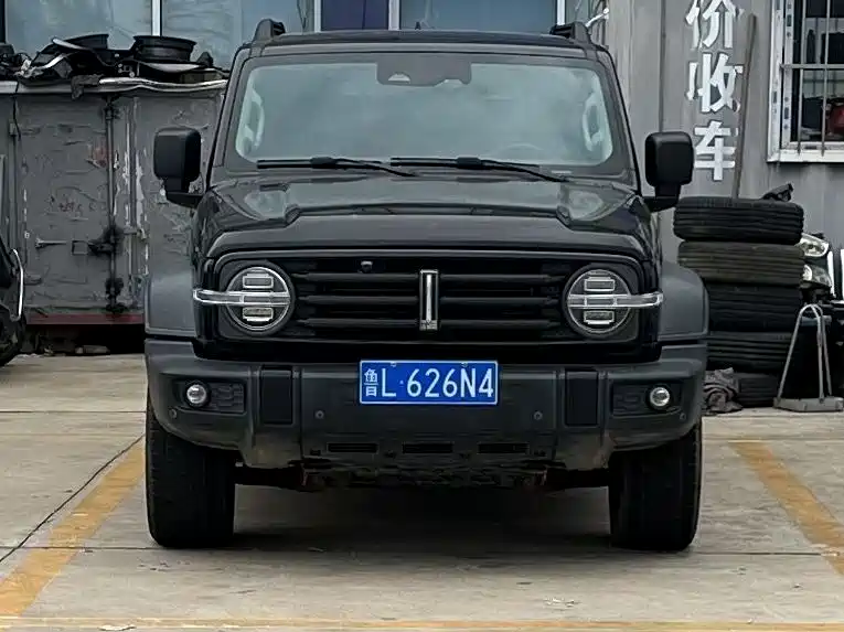 Tank 300 2021 2021 Off-road Version 2.0T Conqueror
