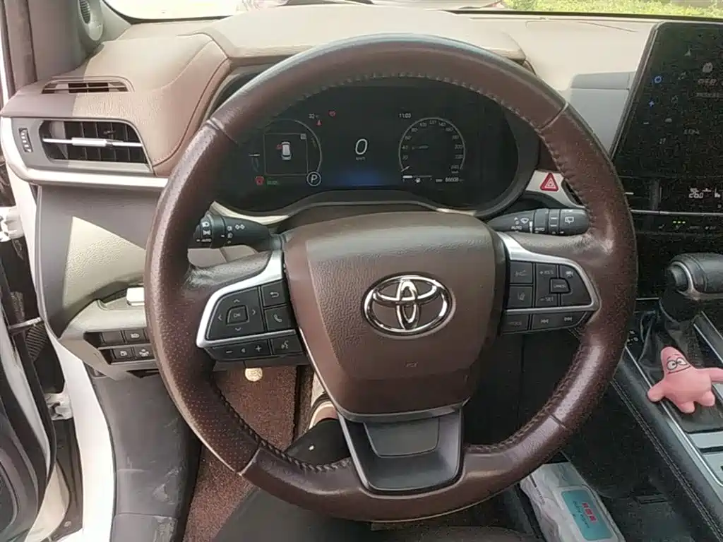 Toyota Sienna 2021 2.5L Hybrid Platinum Edition фото 11
