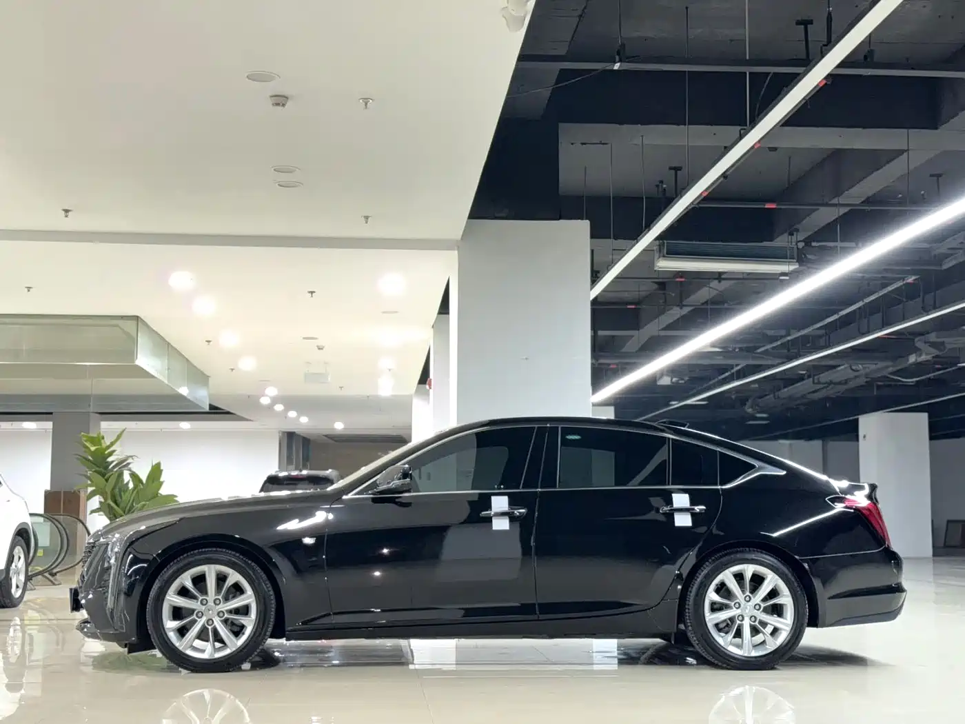 Cadillac CT5 2024 28T Luxury Model Pro фото 3