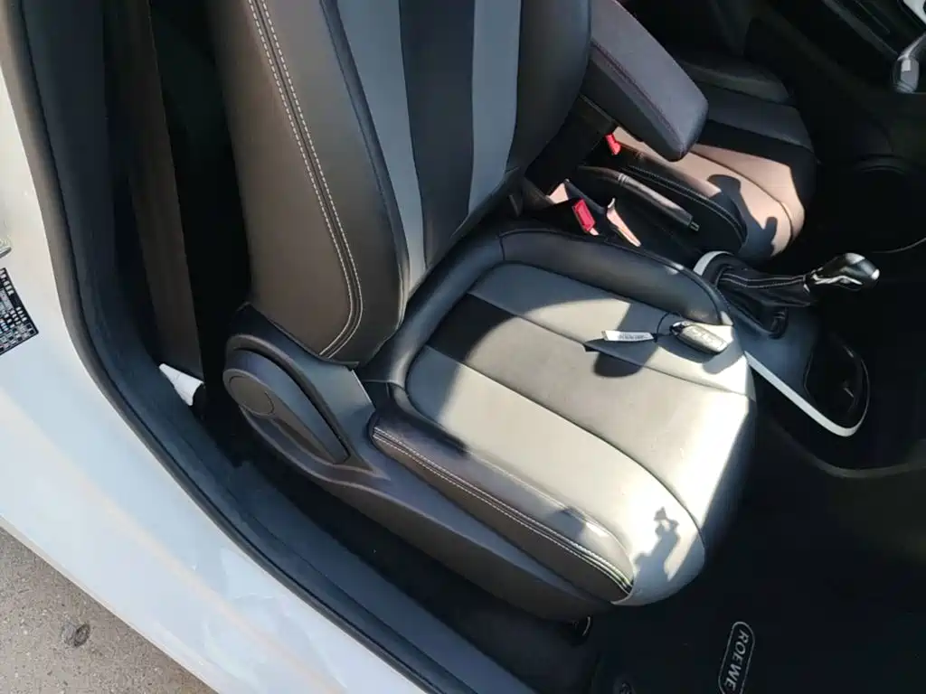 Roewe Clever 2024 2022 311km Vitality Bobo Edition