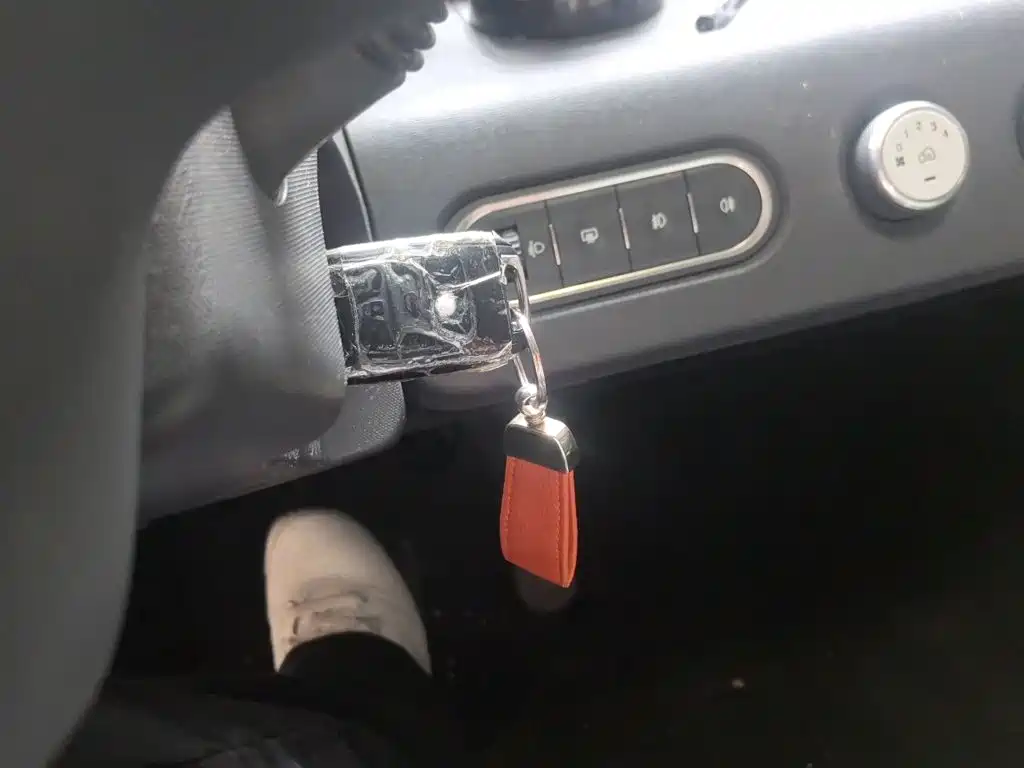 Baojun E100 2020 2019 250KM Smart Edition
