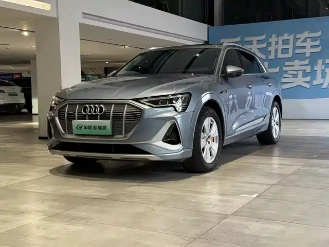 Audi Audi e-tron 2021 50 quattro Luxury