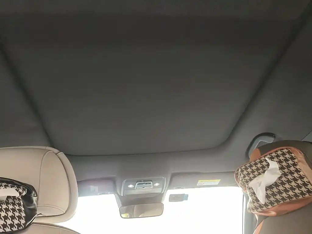 BYD Song Pro New Energy 2022 2022 DM-i 51km Premium