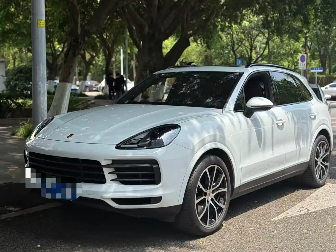 Porsche Cayenne 2023 Cayenne 3.0T Platinum Edition