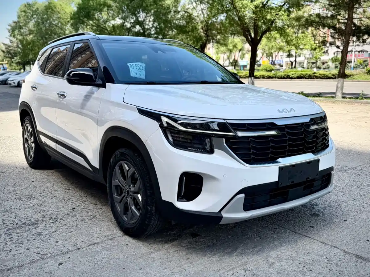 Kia Seltos 2023 1.5L CVT Luxury Edition фото 3