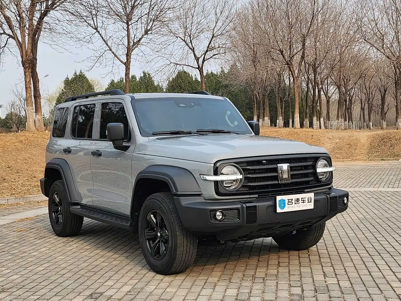 Tank 300 2023 Off-Road Edition 2.0T Conqueror фото 2