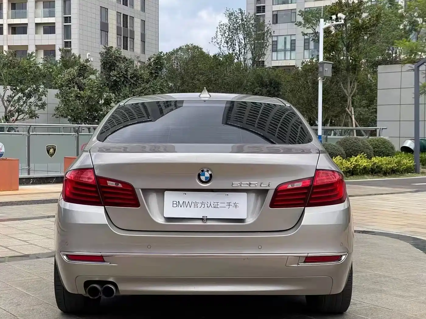 BMW 5 Series 2014 525Li Luxury Design Package фото 8