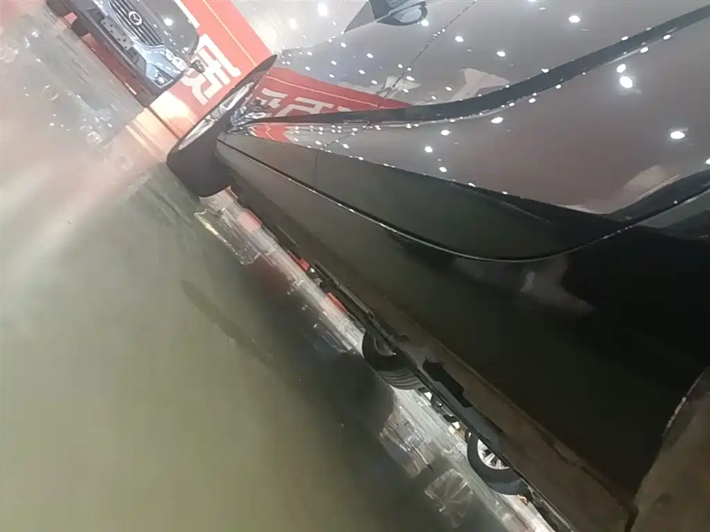 Buick Regal 2019 Facelift 20T Luxury Model China VI фото 22