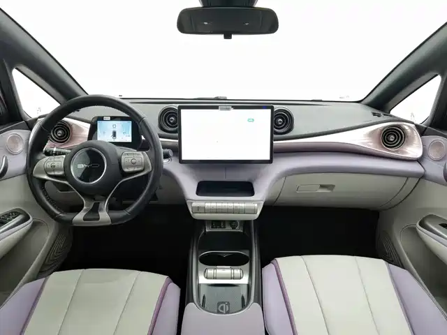 BYD Dolphin 2021 Model 405km Fashion Edition — фото 5