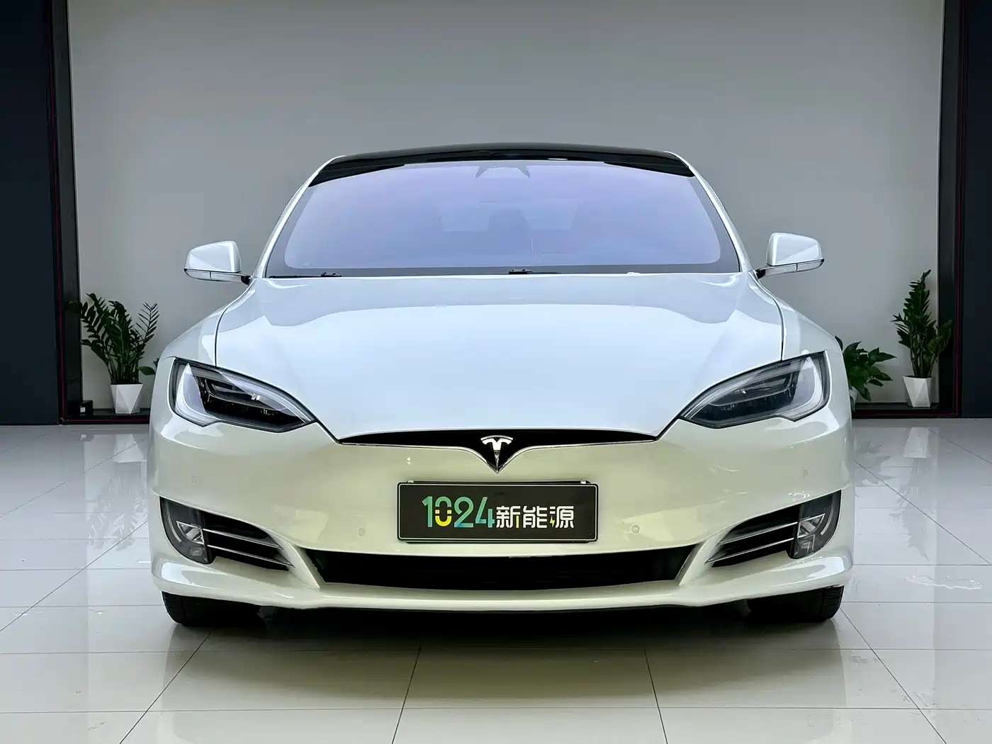 TESLA MODEL S