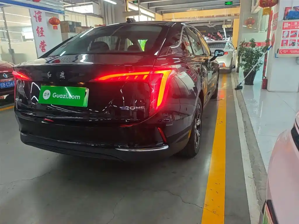 Hongqi E-QM5 2021 Ride-hailing Charging T3 Edition 5-seater фото 8