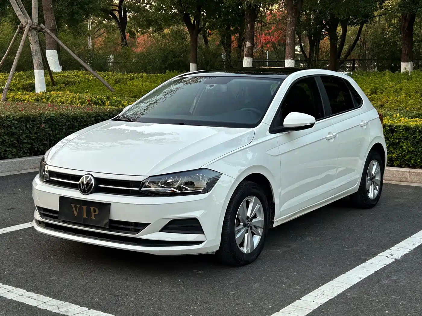 VOLKSWAGEN POLO