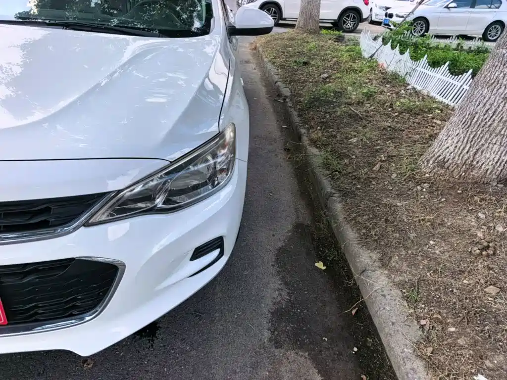 Chevrolet Cavalier 2017 2016 1.5L Automatic Enjoyment Edition