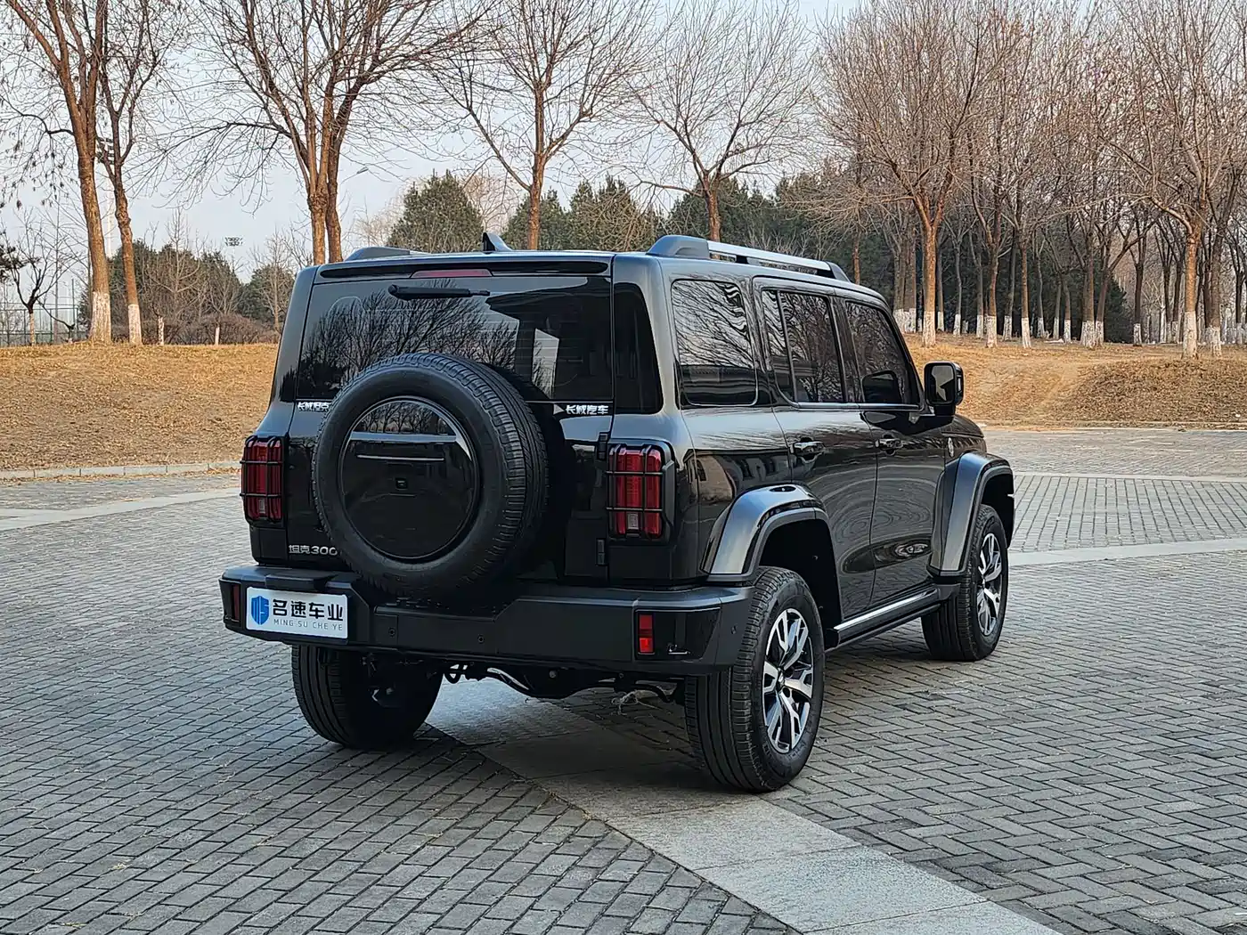 Tank 300 2024 2.0T Explorer фото 14