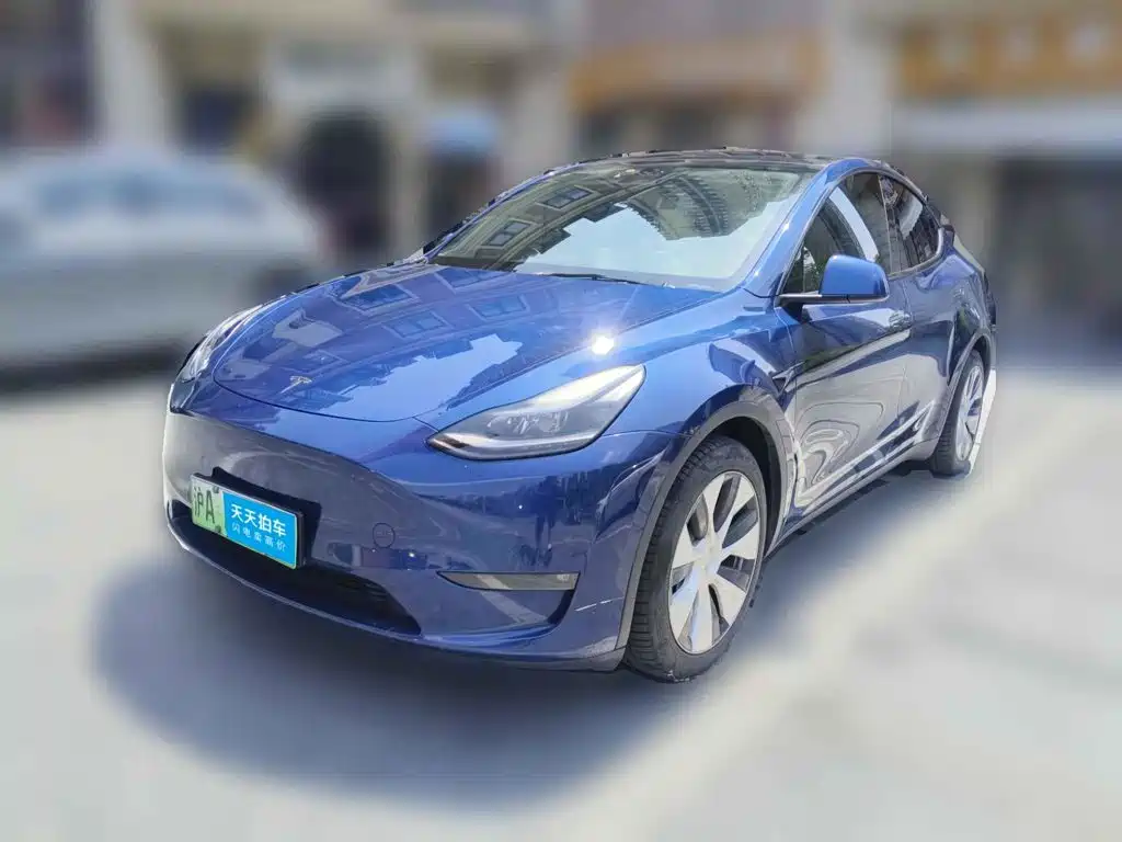 Tesla Model Y 2021 Model Long Range AWD