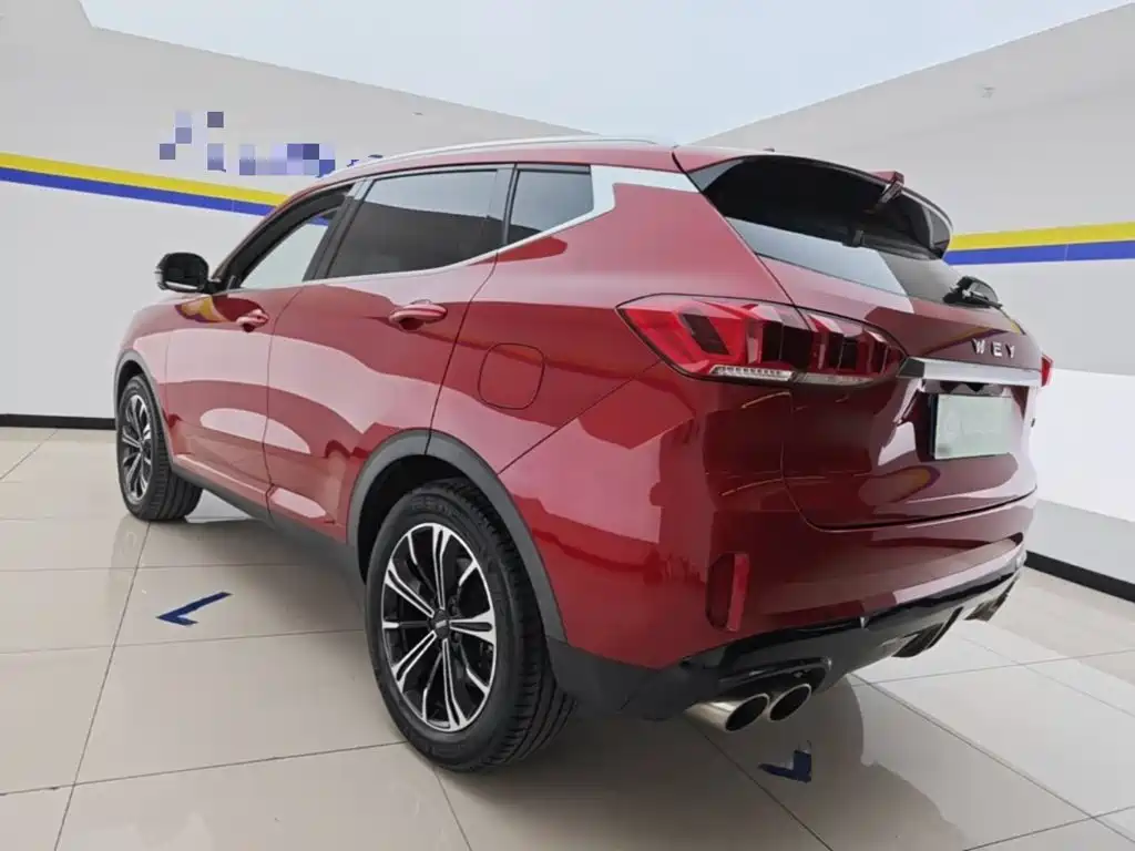 2021 WEY VV6