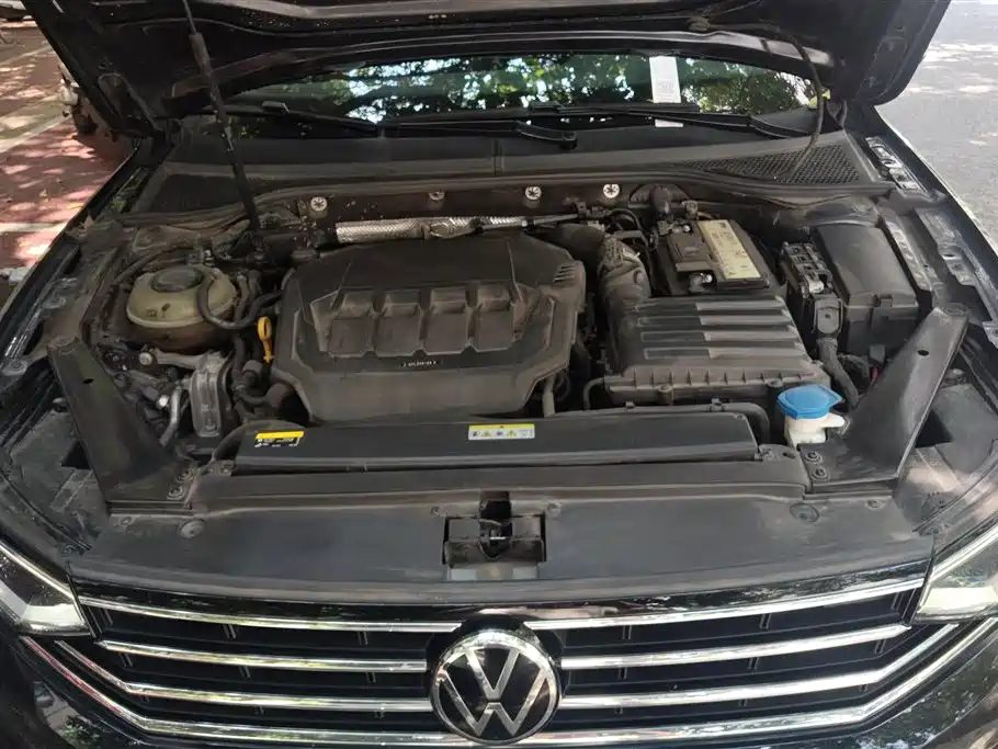 Volkswagen Magotan 2020 330TSI DSG Luxury фото 10