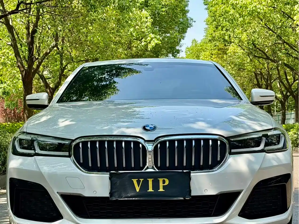 BMW 5 Series 2021 530Li Leading M Sport Package фото 2