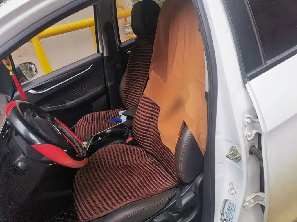 Photo 16 - Geely Vision X3