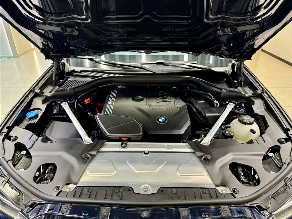 BMW X3 2023 xDrive30i Leading M Night Package фото 11