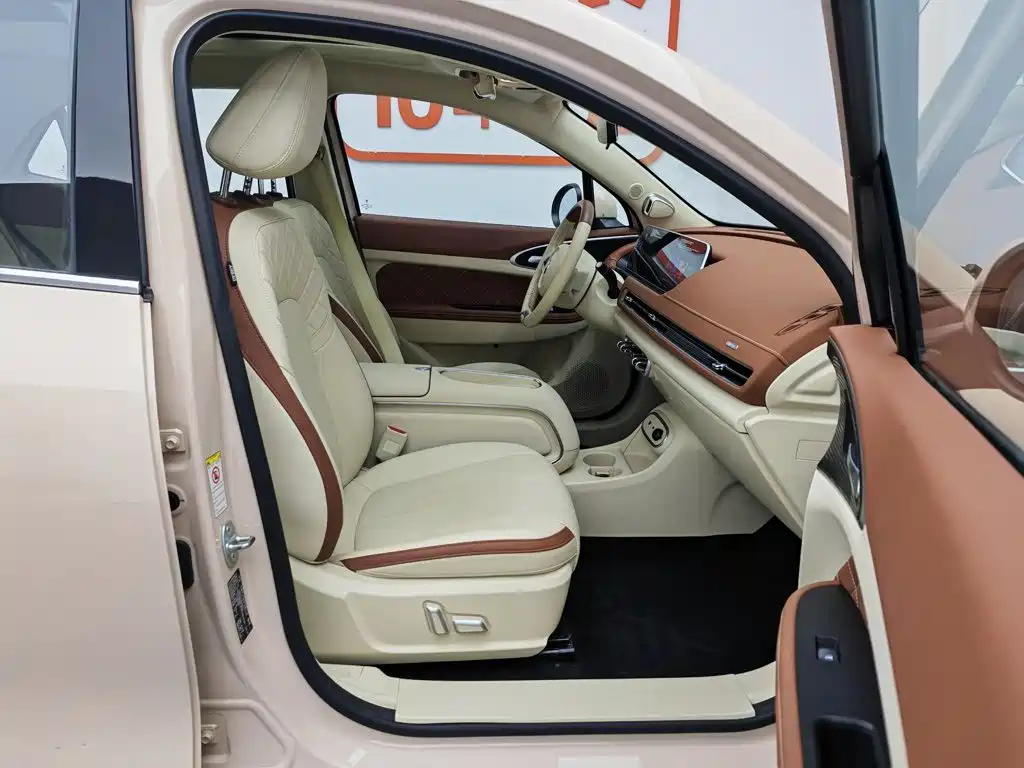 Ora Good Cat 2024 2023 401km Standard Range Honor Edition (LFP)