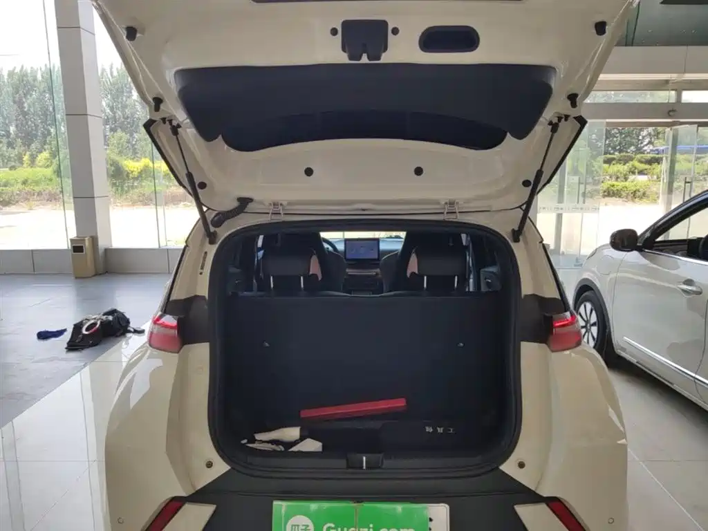 BYD Seagull 2023 Vitality Edition фото 19