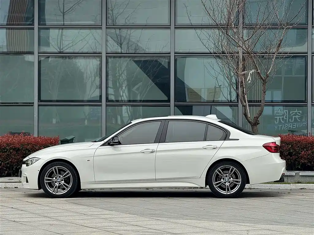 BMW 3 Series 2019 320Li M Sport Black Night Edition фото 4