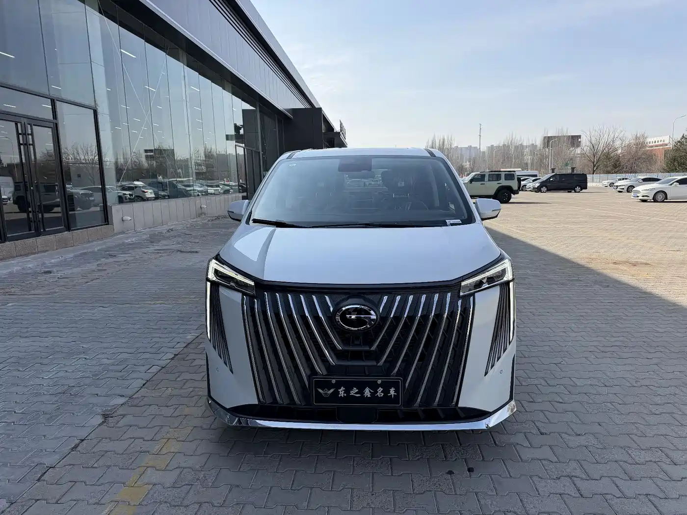 GAC Trumpchi Trumpchi M8 2024 Master Series 400T Premium Edition фото 8