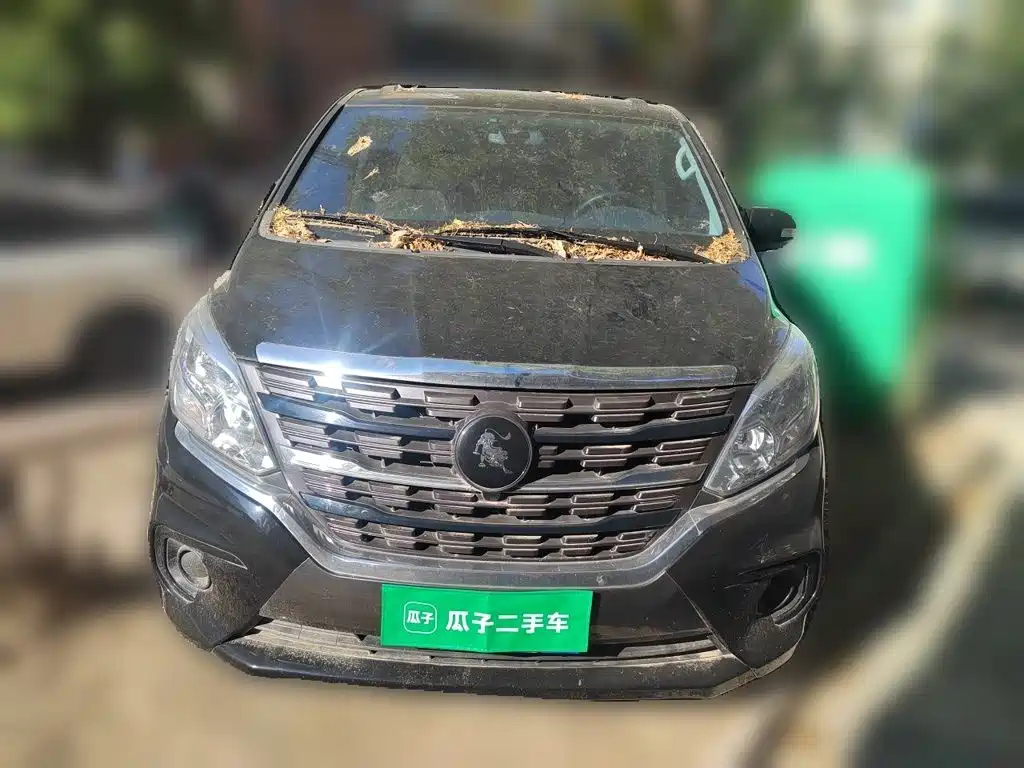 Photo 2 - Dongfeng Fengxing Lingzhi PLUS