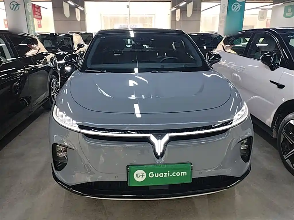 Voyah Auto Voyah Zhiyin 2024 Long Range Super Charging Edition фото 3