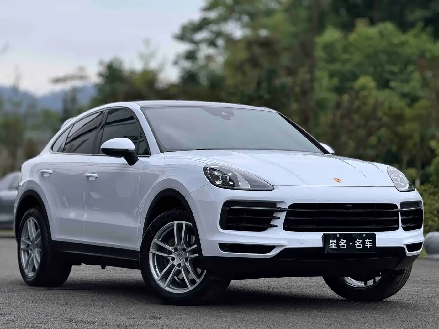 Porsche Cayenne 2019 Cayenne Coupé 3.0T фото 3