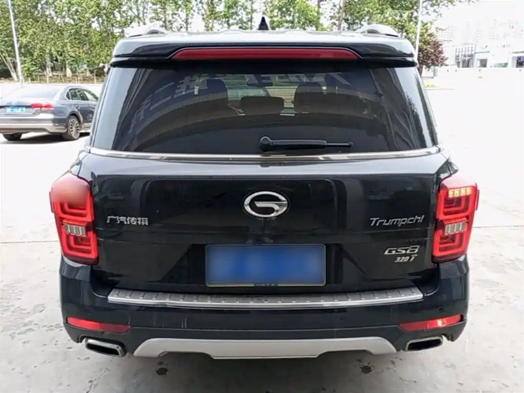 GAC Trumpchi Trumpchi GS8 2017 320T 2WD Luxury Smart Connect (7-seater) фото 6