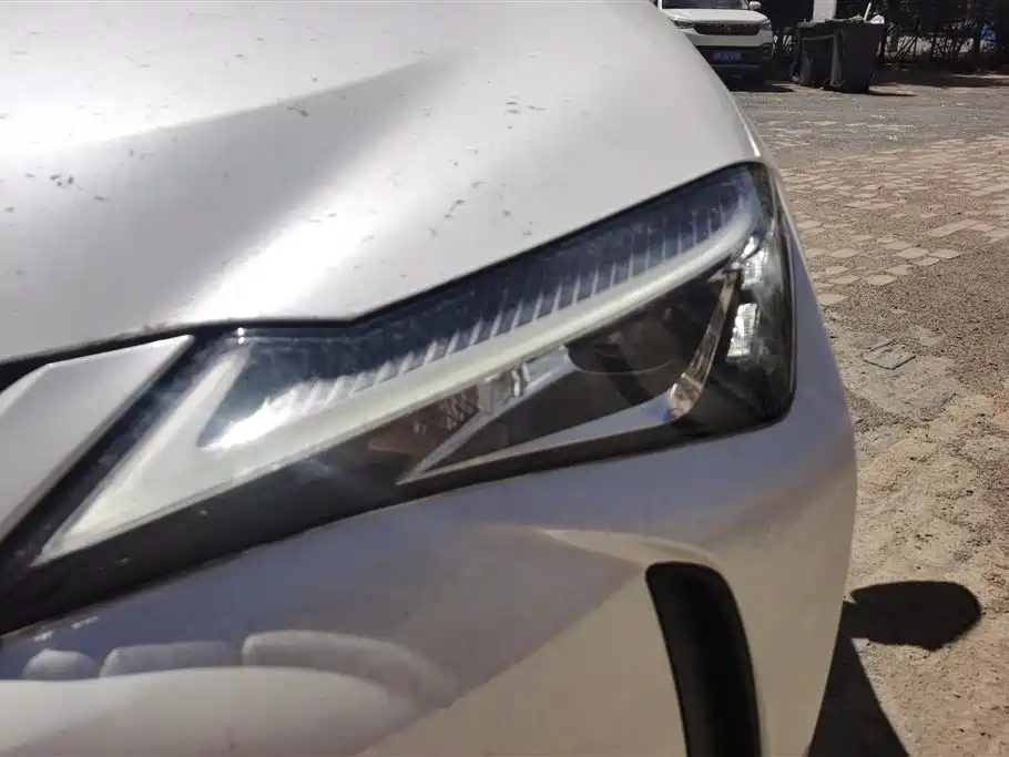 Lexus UX 2020 260h Explore Cool Edition фото 5