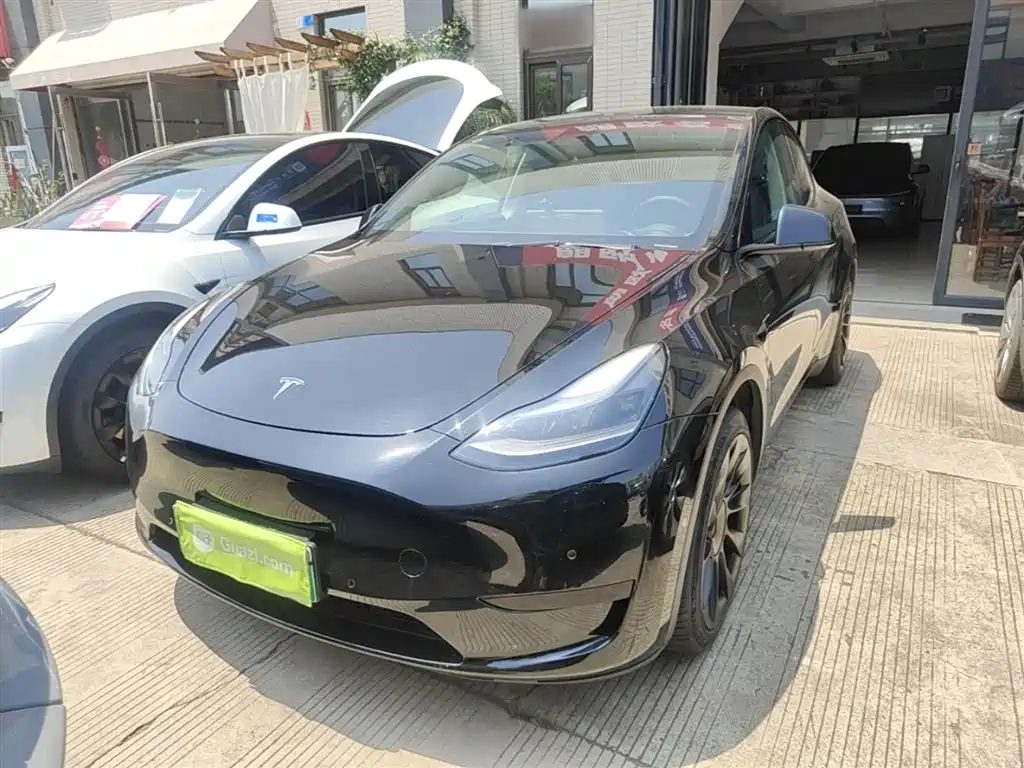 Tesla Model Y 2022 Rear-Wheel Drive Version