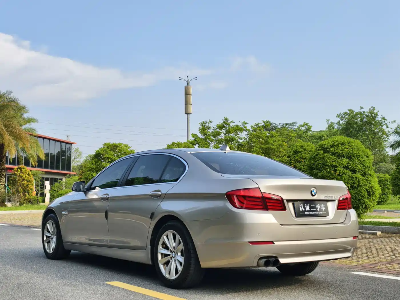 BMW 5 Series 2013 525Li Leadership фото 6