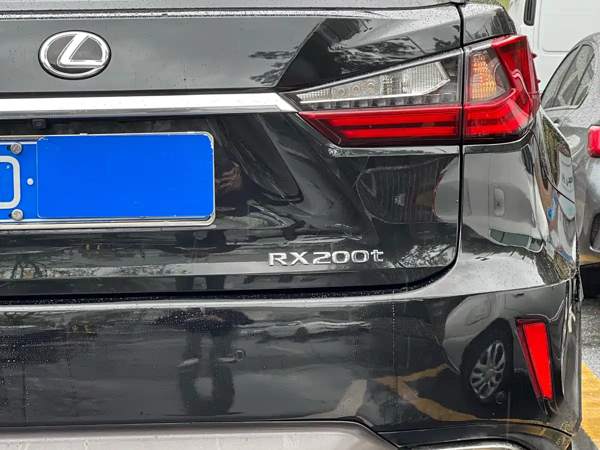 Lexus RX 2016 300 2WD Comfort Edition China V фото 24