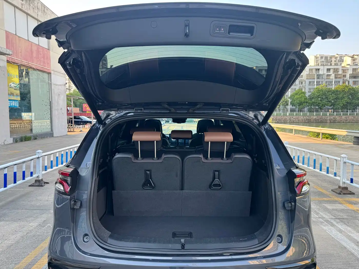 BYD Tang New Energy 2021 DM-i 112KM Honor фото 13