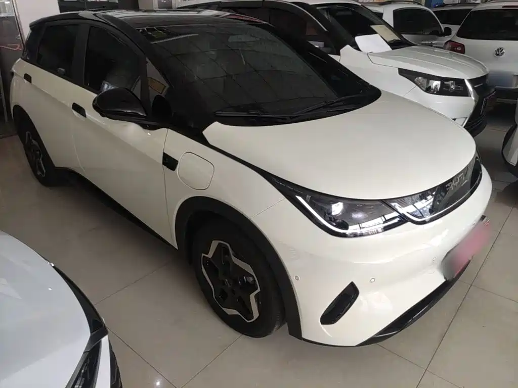 BYD Dolphin 2026 2025 Smart Drive Edition 420km Freedom Version