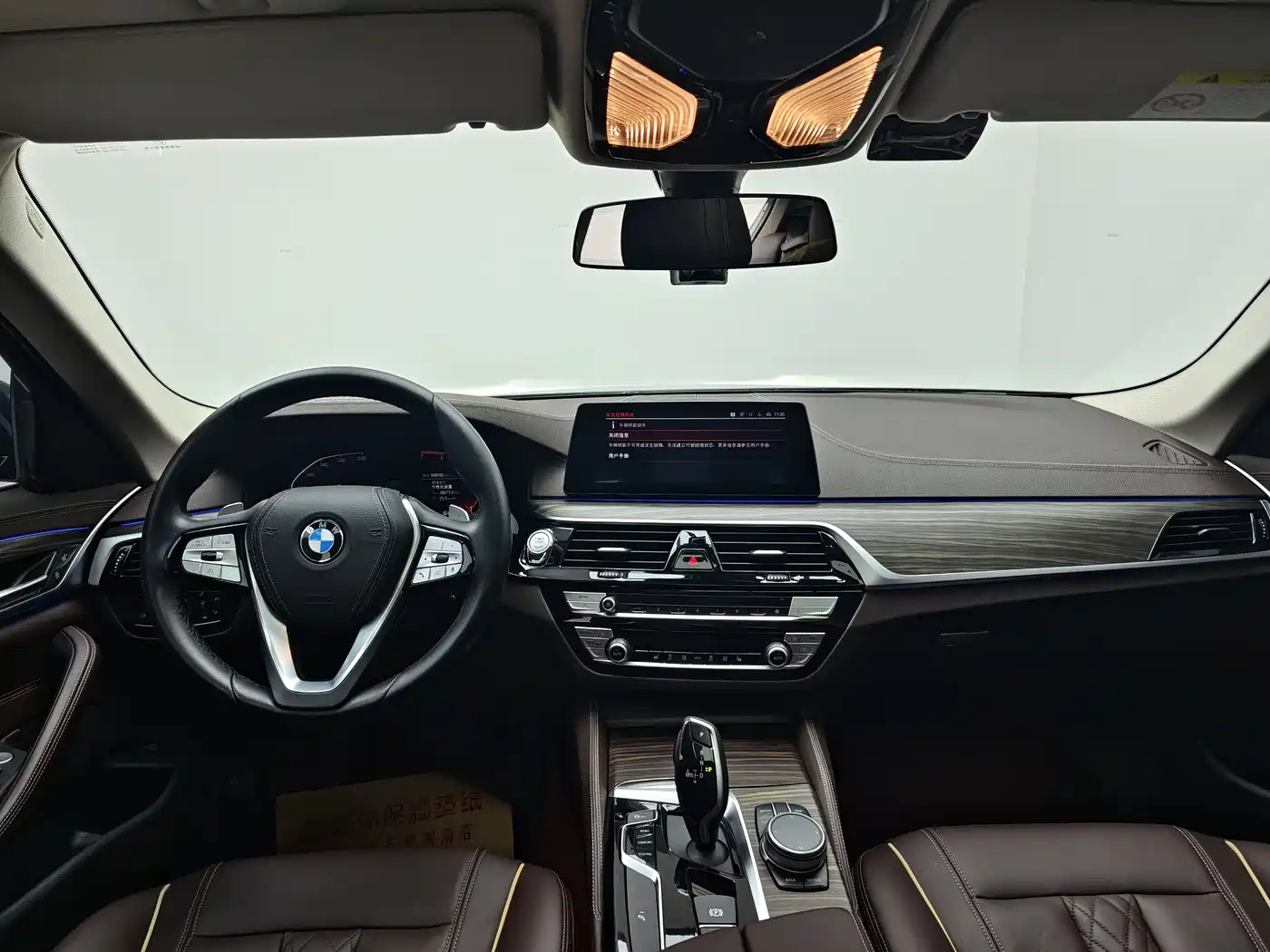 BMW 5 Series 2020 530Li Leading Luxury Package фото 6
