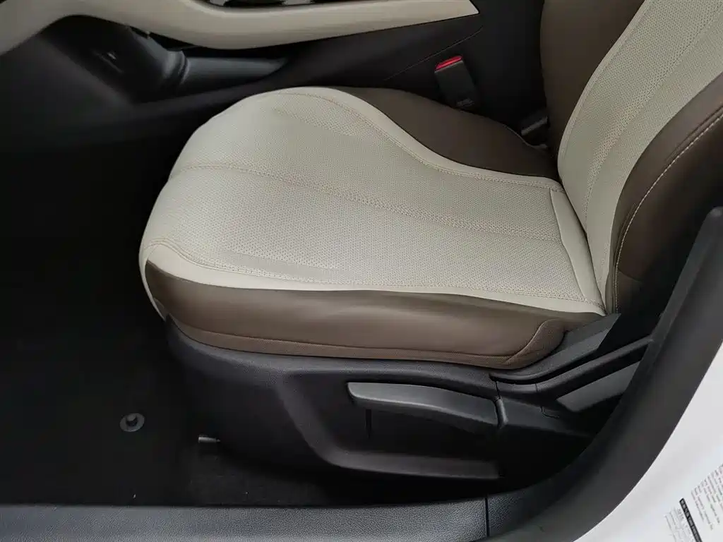 BYD Qin PLUS 2024 Glory Edition DM-i 55KM Leading фото 20