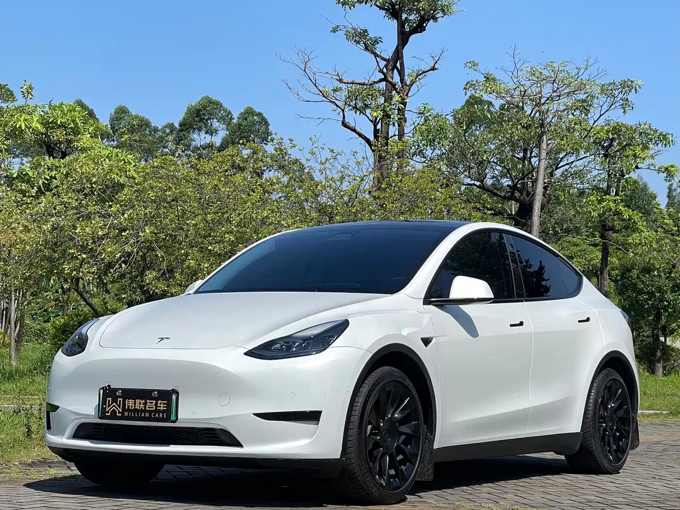 Tesla Model Y 2022