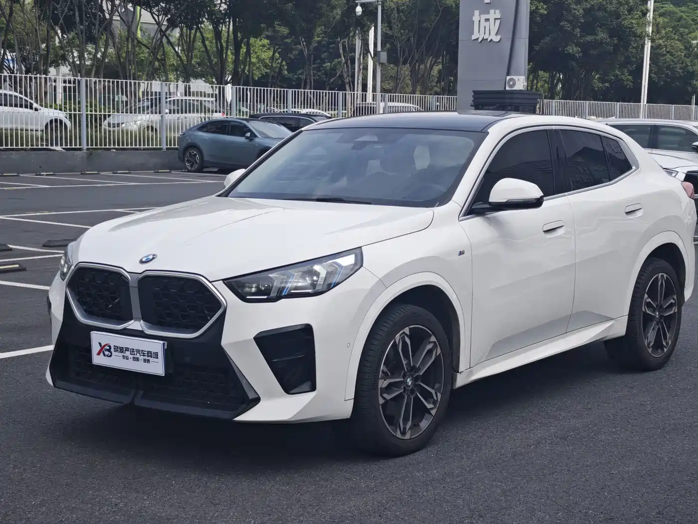 BMW X2 (Import) 2025 2024 sDrive25i M Sport Package
