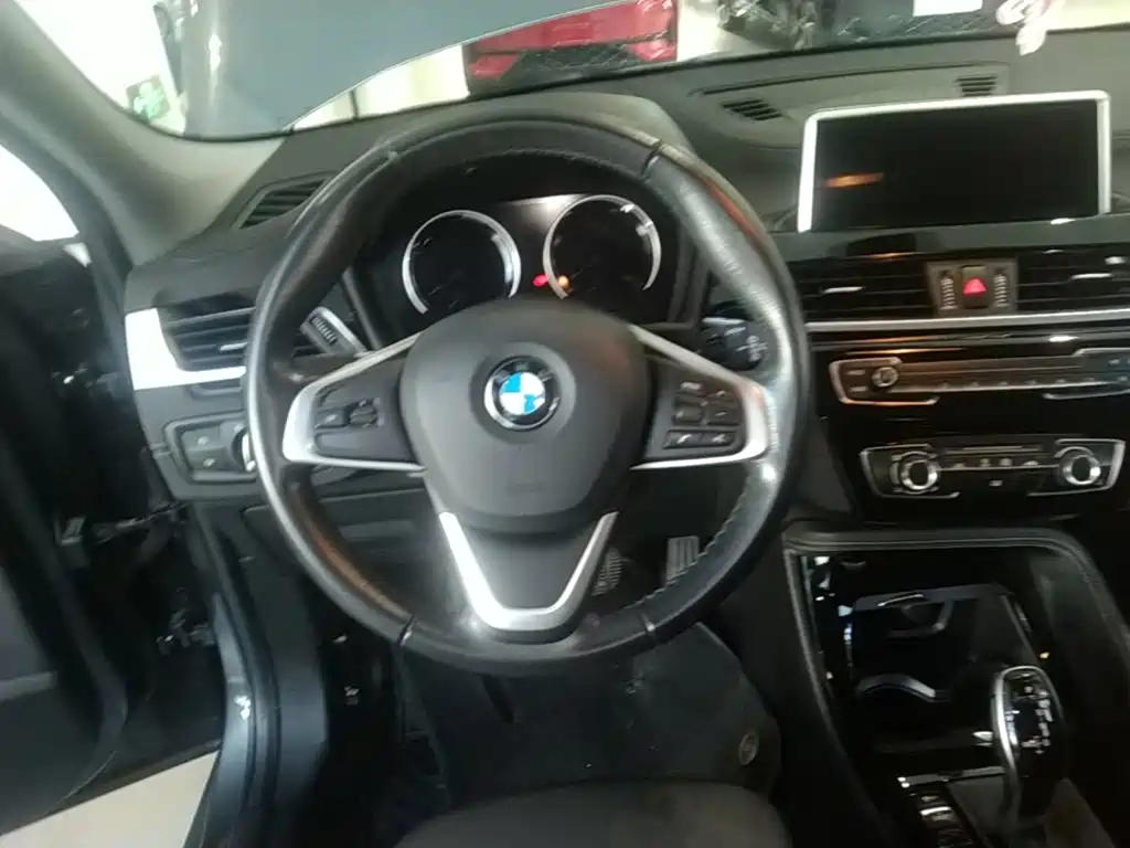 BMW X2 (Import) 2019 2019 sDrive20i M Off-Road Package China VI
