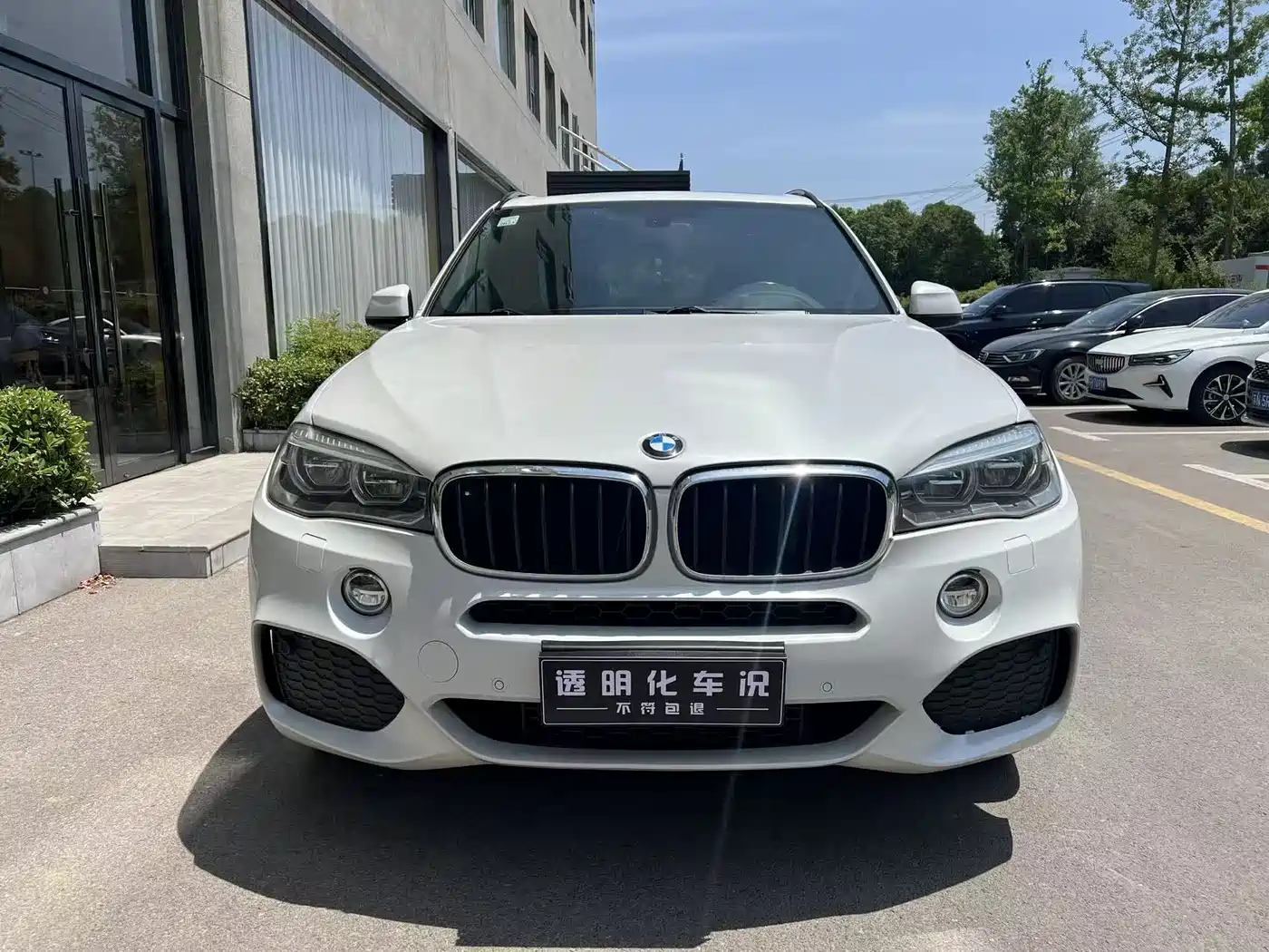 BMW X5 (Import) 2017 xDrive35i Leading Edition фото 2