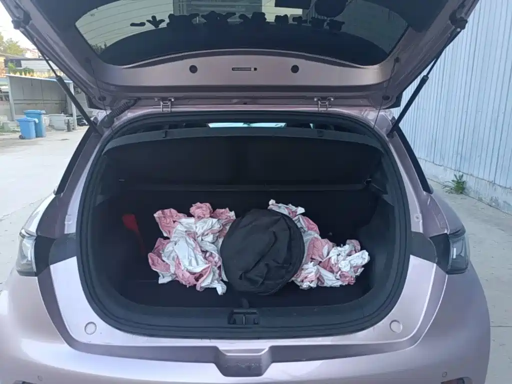 BYD Dolphin 2022 2021 Model 405km Fashion Edition