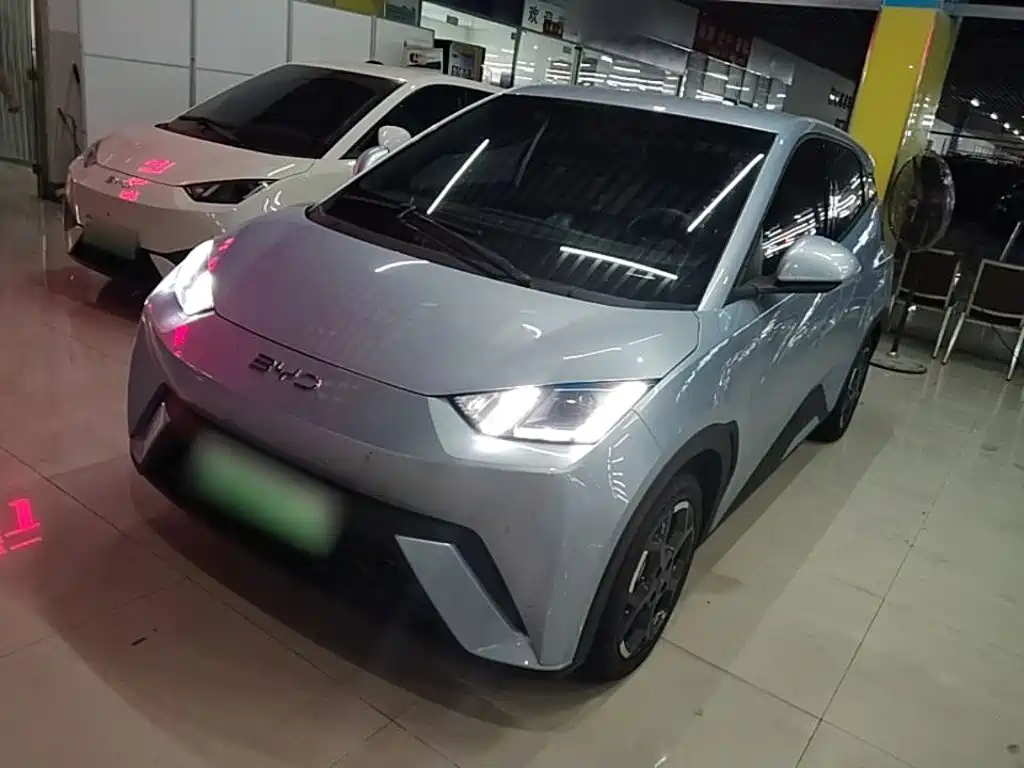 BYD Seagull 2024 Glory Edition 405km Soaring Edition